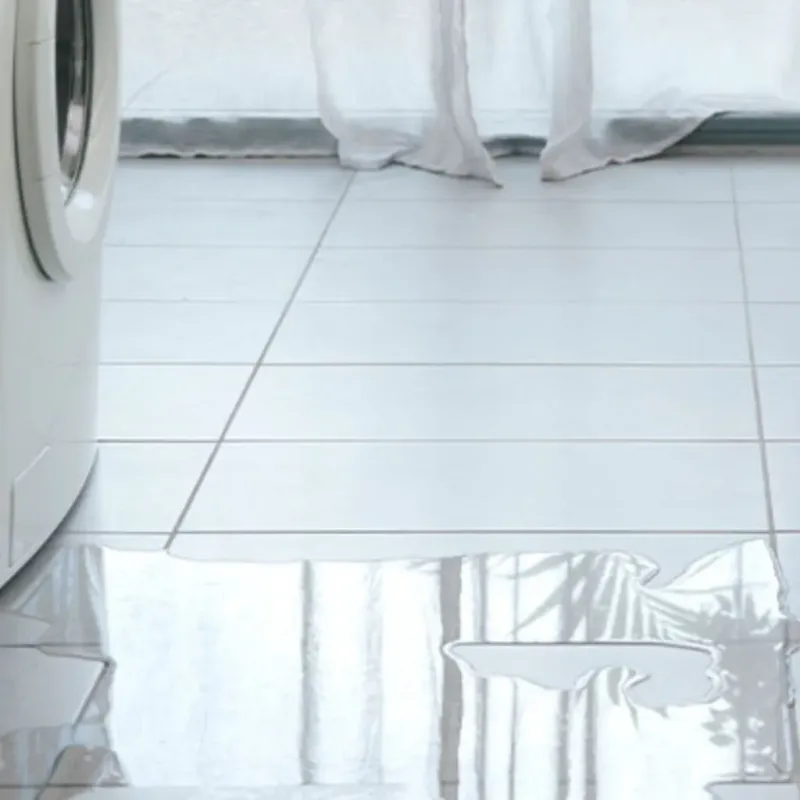 Appliance Leak Cleanup in Odin, IL