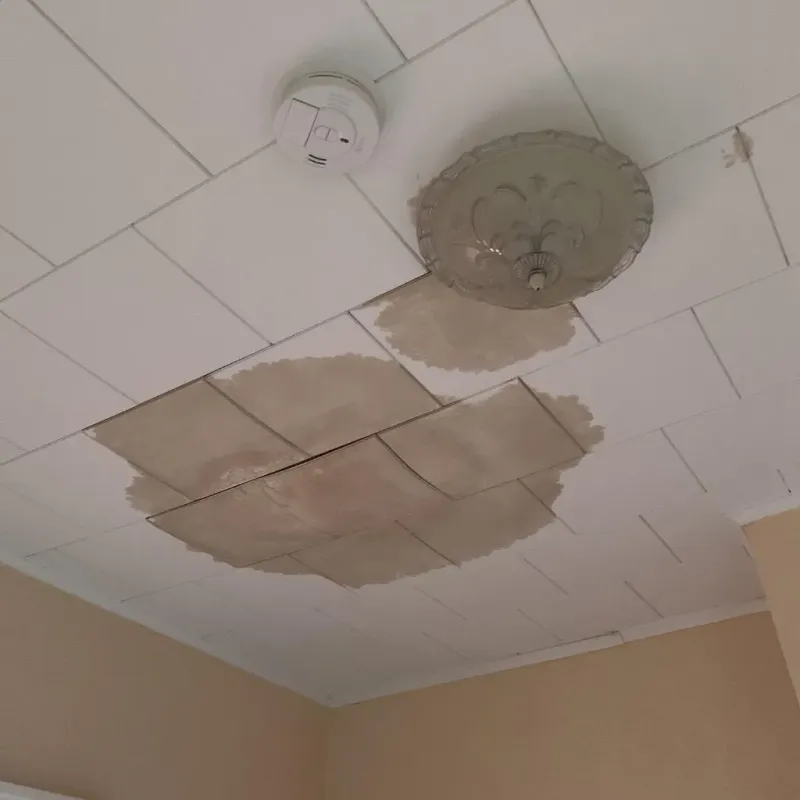 Ceiling Water Damage Repair in Odin, IL