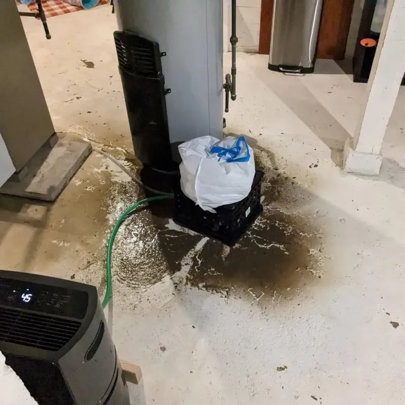 Sewage Backup Cleanup Service in Odin, IL